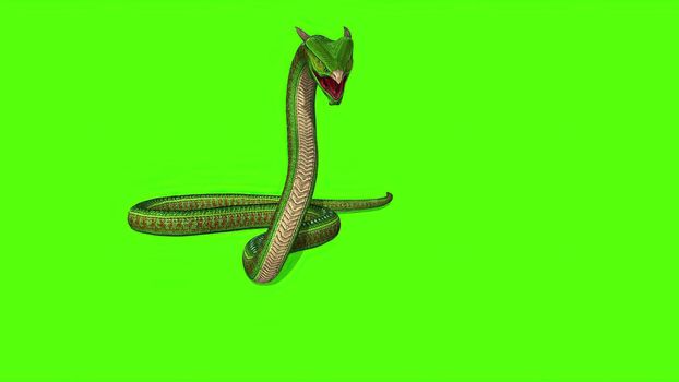 3d illustration - Snake  Python on Green Screen background