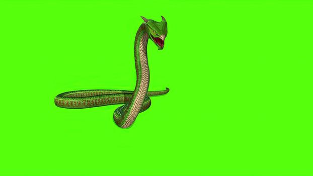 3d illustration - Snake  Python on Green Screen background