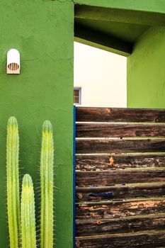 Green facade of house and beautiful cactus in Rodalquilar, Andalusia, Spain