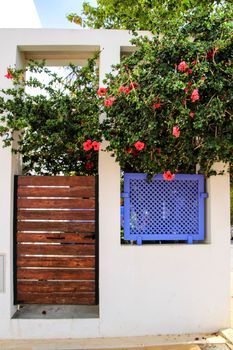 Whitewashed houses and beautiful flowers on the wall in Rodalquilar, Andalusia, Spain