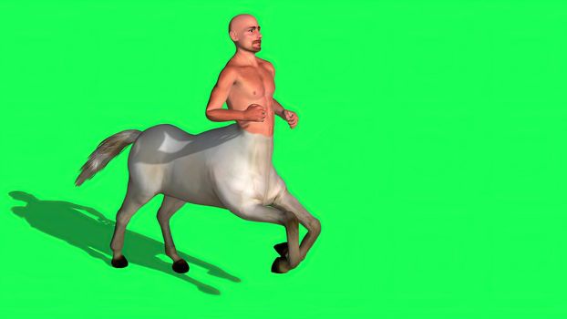 3d illustration - Male Centaur Half Horse Half Man on green screen