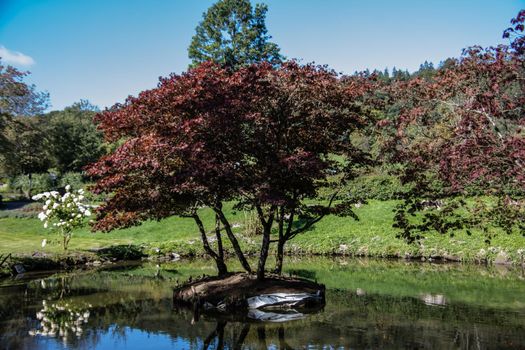 beautyful and colorful trees in the Castle garden