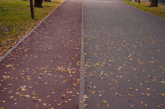 The alley with artificial carpet, treadmill in the autumn park is covered with fallen leaves.