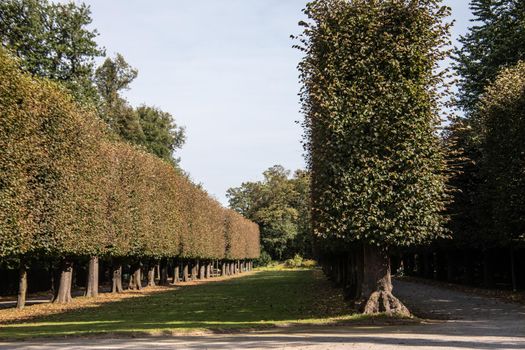 Castle Park Benrath in Germany