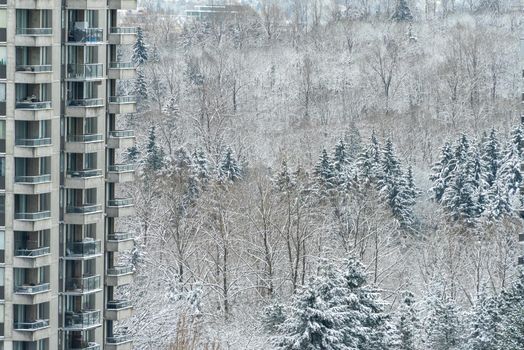 Part of high rise building on winter forest background.