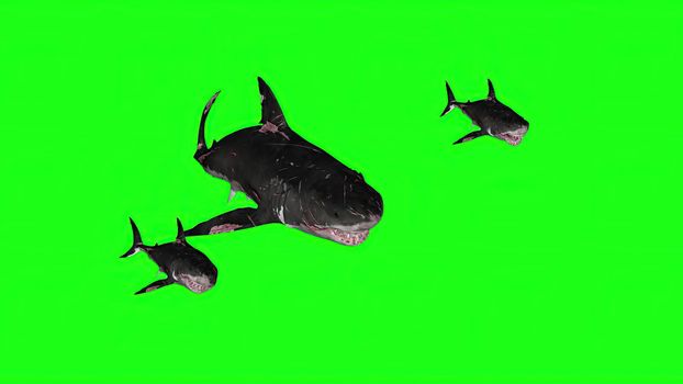 3d illustration - Sharks on a Green background