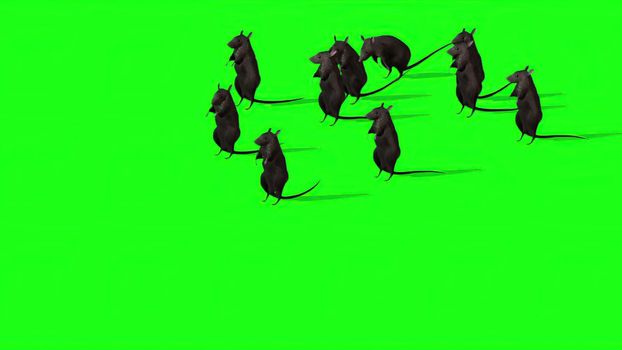 3d illustration - Cute Gray Rat On Green Screen