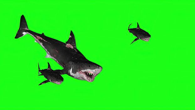 3d illustration - Sharks on a Green background