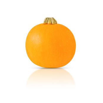 Orange pumpkin isolated on a white background with shadow and reflection