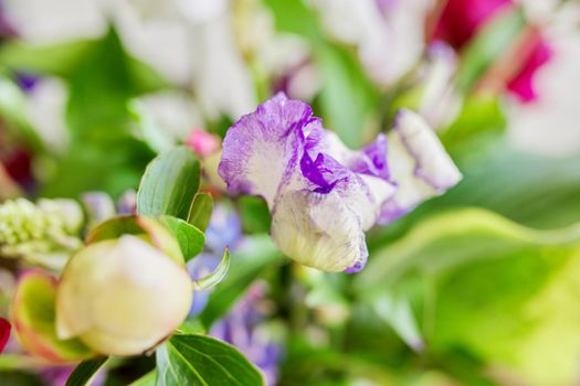 Abstract multicolored floral background texture, close-up flowers and buds peonies irises lupine in defocus, season spring summer, natural beauty, background image