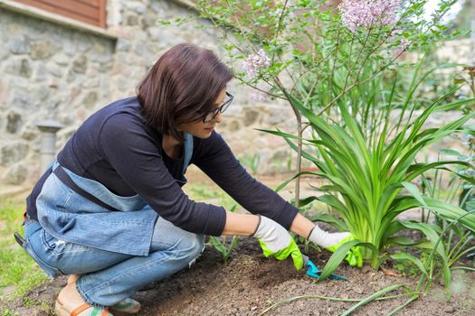 Gardening, flower beds, female gardener working with plants in garden, backyard, using gardening tools. Nature, beauty, landscape, flower bed design, work, hobbies and leisure