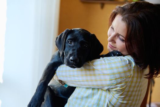 Portrait of middle aged woman and black labrador puppy dog. The owner holding young pet in her arms, in home interior. Lifestyle, love, pets, 40s people concept