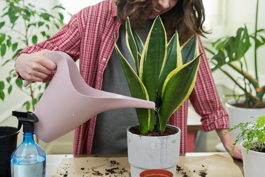 A teenager guy watering indoor plants in pots, sansevieria. Hobbies, leisure, caring for green pets, eco trends, gardening at home, garden inside