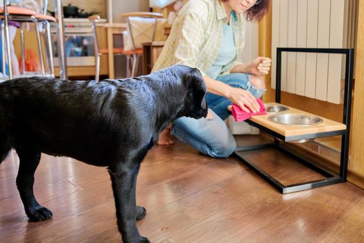 Middle aged woman and pet dog at home in kitchen interior. Pet owner cleaning near food bowls, black labrador puppy 4 months old. Lifestyle, love, pets, 40s people concept