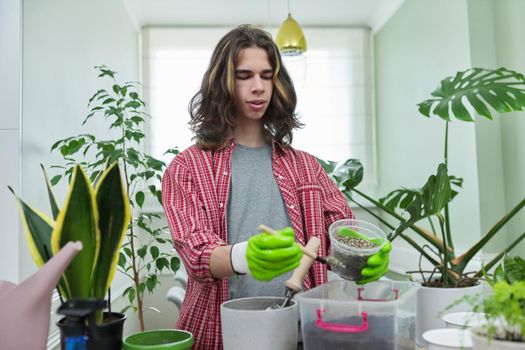 Teenage guy transplanting houseplants, preparing the soil with perlite vermiculite. Hobbies, leisure, green trends, ecology gardening at home, garden inside