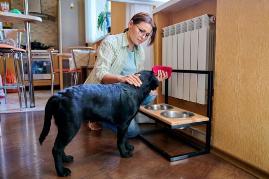 Middle aged woman and pet dog at home in kitchen interior. Pet owner cleaning near food bowls, black labrador puppy 4 months old. Lifestyle, love, pets, 40s people concept