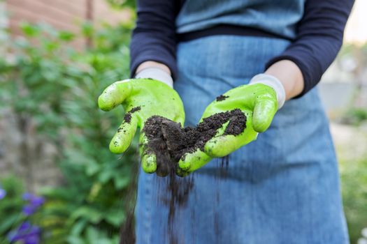 Close-up of woman's hand in gardening gloves with black fertile soil. Agriculture, horticulture, landscape, nature concept