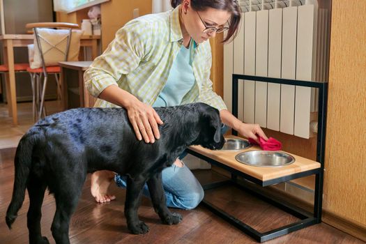 Middle aged woman and pet dog at home in kitchen interior. Pet owner cleaning near food bowls, black labrador puppy 4 months old. Lifestyle, love, pets, 40s people concept