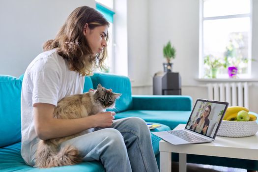 Guy teen talking online with teacher, psychologist, social worker. Teenager sitting at home on couch with pet cat, using video call on laptop, virtual meeting with counselor