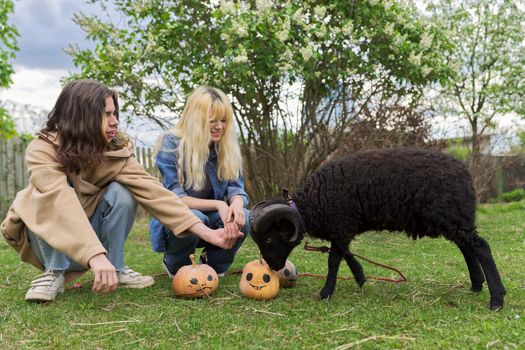 Outdoor portrait of a couple of teenage teenagers and a black domestic ram with halloween pumpkins on the grass in the garden