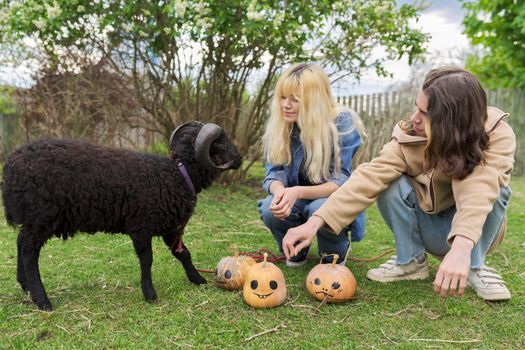 Outdoor portrait of a couple of teenage teenagers and a black domestic ram with halloween pumpkins on the grass in the garden