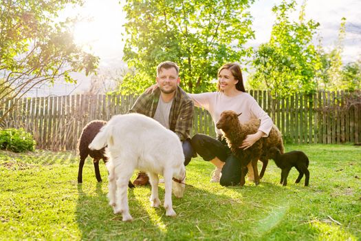 Small farm with ouessant sheep and goat, portrait of family couple of farm owners with animals, eco tourism, countryside, rural scene, domestic animals