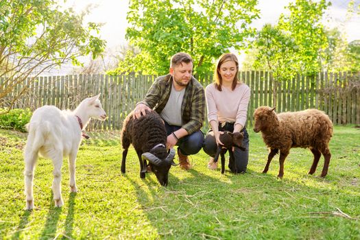 Small farm with ouessant sheep and goat, portrait of family couple of farm owners with animals, eco tourism, countryside, rural scene, domestic animals