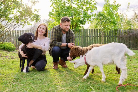 Small farm with ouessant sheep and goat, portrait of family couple of farm owners with animals, eco tourism, countryside, rural scene, domestic animals