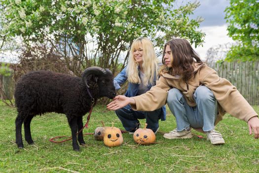Outdoor portrait of a couple of teenage teenagers and a black domestic ram with halloween pumpkins on the grass in the garden