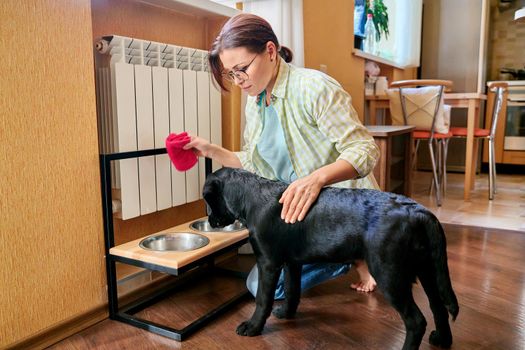 Middle aged woman and pet dog at home in kitchen interior. Pet owner cleaning near food bowls, black labrador puppy 4 months old. Lifestyle, love, pets, 40s people concept