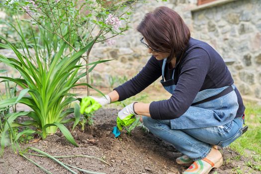 Gardening, flower beds, female gardener working with plants in garden, backyard, using gardening tools. Nature, beauty, landscape, flower bed design, work, hobbies and leisure