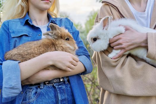 Teenagers with rabbits in their hands, pets a couple of decorative rabbits, nature, spring green blooming garden background
