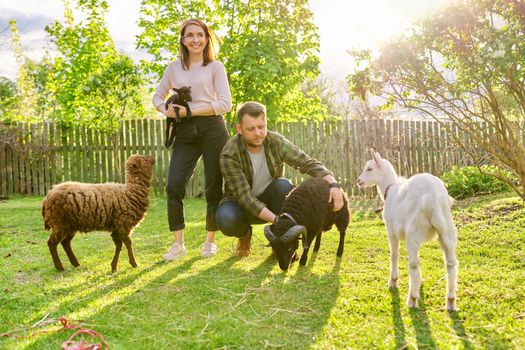 Small farm with ouessant sheep and goat, portrait of family couple of farm owners with animals, eco tourism, countryside, rural scene, domestic animals
