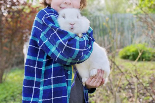 Boy with white bunny in his hands, child with decorative rabbit in spring blooming garden