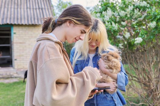 Teenagers guy and girl with decorative rabbit in their hands talking and looking at smartphone screen, on rural farm, spring blooming garden background, countryside, domestic animals