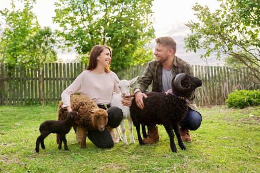 Small farm with ouessant sheep and goat, portrait of family couple of farm owners with animals, eco tourism, countryside, rural scene, domestic animals