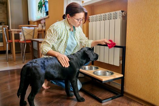 Middle aged woman and pet dog at home in kitchen interior. Pet owner cleaning near food bowls, black labrador puppy 4 months old. Lifestyle, love, pets, 40s people concept