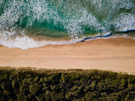 Aerial photo of a beach and trees in Ulladulla, NSW, Australia. High quality photo