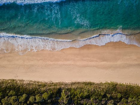 Aerial photo of a beach and trees in Ulladulla, NSW, Australia. High quality photo
