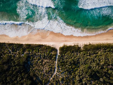 Aerial photo of a beach and trees in Ulladulla, NSW, Australia. High quality photo