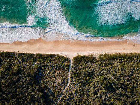 Aerial photo of a beach and trees in Ulladulla, NSW, Australia. High quality photo