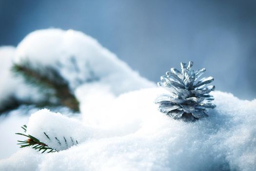 frost and snow on green needles of forest fir trees