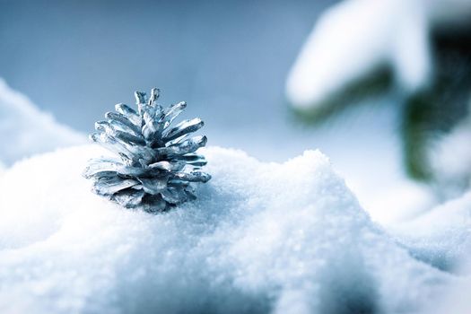 frost and snow on green needles of forest fir trees