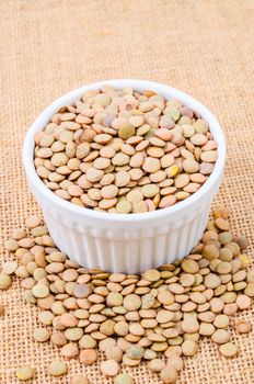 Brown Lentils in whtie cup on sack background.