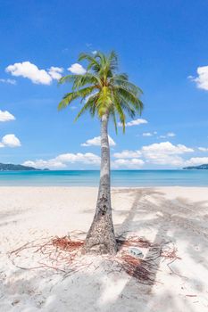 Patong beach in Phuket, Thailand. Phuket is a popular destination famous.