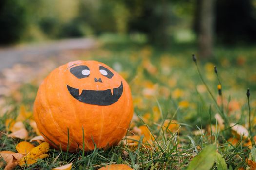 Jackie's Halloween pumpkin is lying on the grass . An article about Halloween. An orange pumpkin with a face. Details of the holiday. Halloween