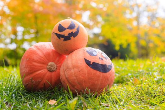 Jackie's Halloween pumpkin is lying on the grass . An article about Halloween. An orange pumpkin with a face. Details of the holiday. Halloween