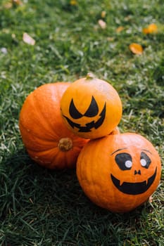 Jackie's Halloween pumpkin is lying on the grass . An article about Halloween. An orange pumpkin with a face. Details of the holiday. Halloween