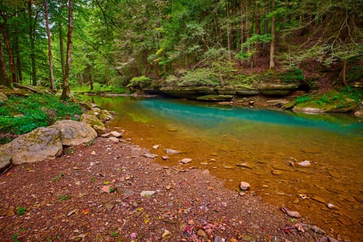 The clear waters of War Fork Creek in Jackson County, KY located near Turkey Foot Campground.