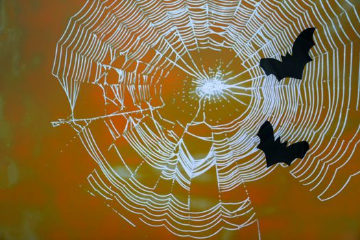 Black flying bats and white cobwebs on orange background. Halloween Concept